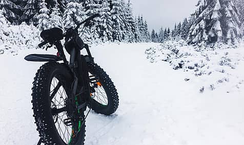 Global Fat Bike Day