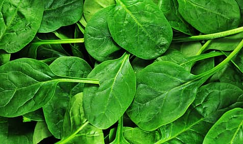 Fresh Spinach Day