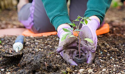 National Gardening Exercise Day