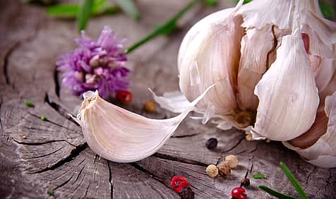 National Garlic Day