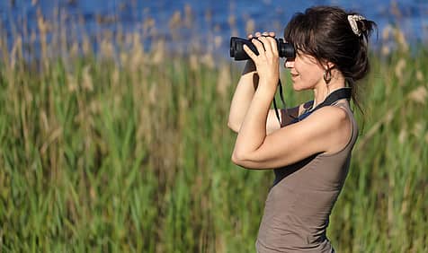 National Go Birding Day