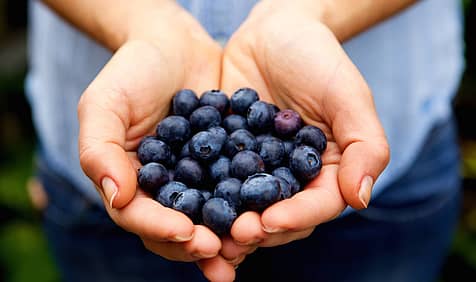 Pick Blueberries Day
