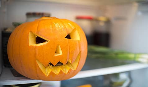 Haunted Refrigerator Night