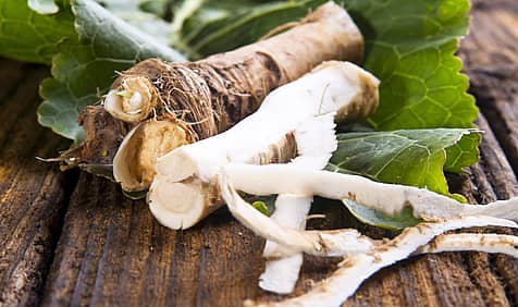 National Horseradish Month