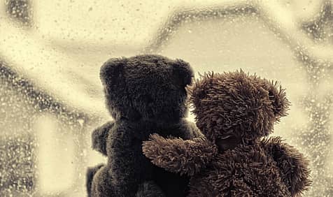 National Hug A Bear Day