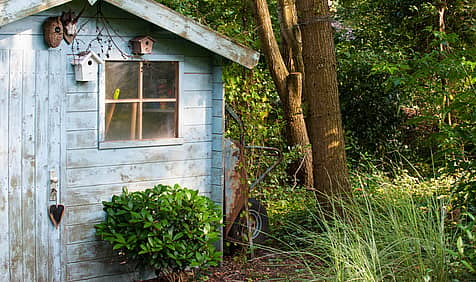 Hug A Shed And Take A Selfie Day