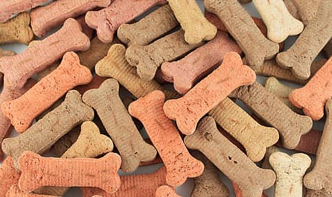 International Dog Biscuit Appreciation Day