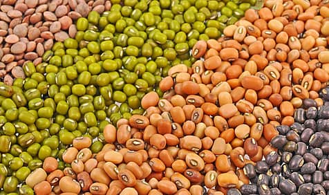 International Year of Pulses