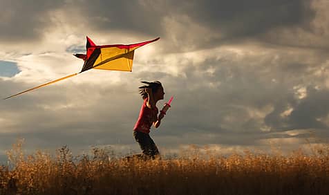 National Kite Flying Day