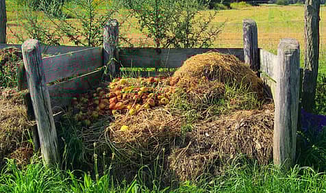 Learn About Composting Day