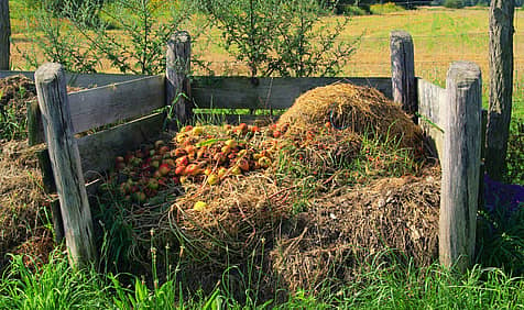 Learn About Composting Day