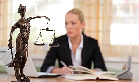 Love Litigating Lawyers Day