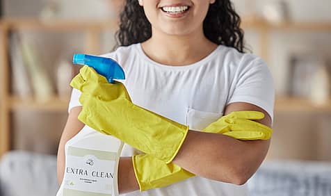 National Professional House Cleaners Day
