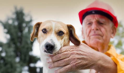 National Pet Fire Safety Day