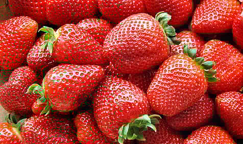 National Pick Strawberries Day