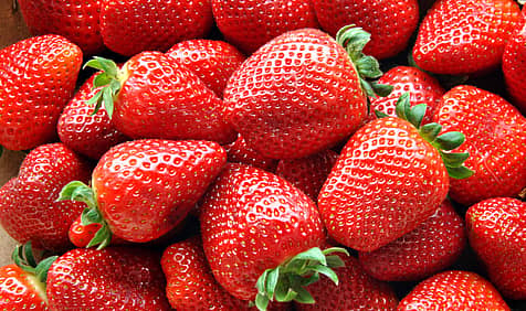 National Pick Strawberries Day