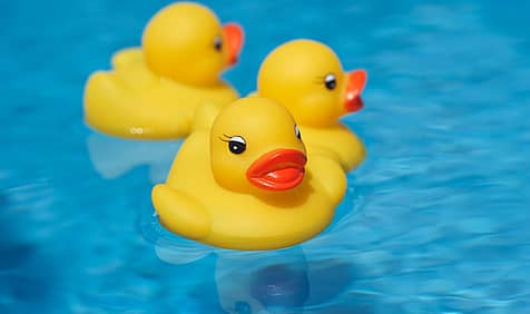 National Rubber Ducky Day