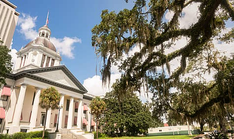 National Florida Day