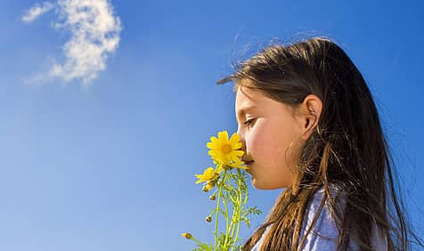 National Sense Of Smell Day