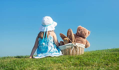 Teddy Bear Picnic Day