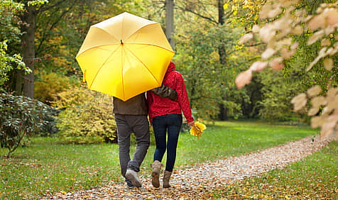 National Umbrella Day