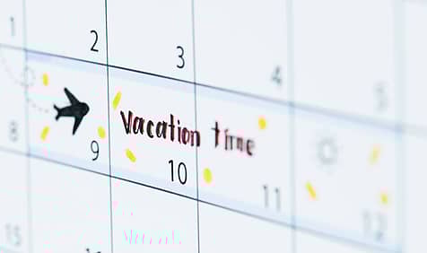 National Plan for Vacation Day