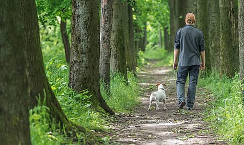 Walk Your Dog Week