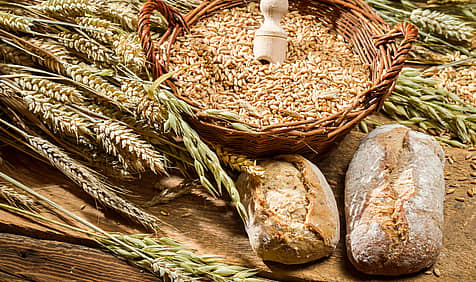 Whole Grains Month