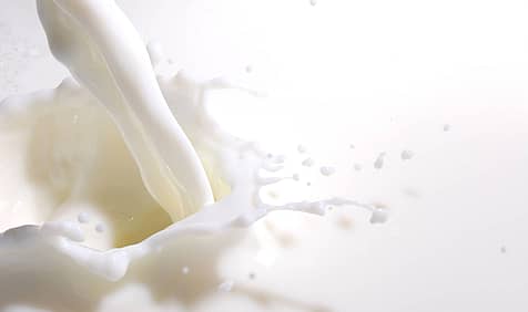 World Milk Day