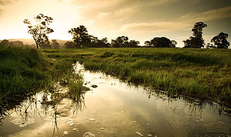 World Wetlands Day