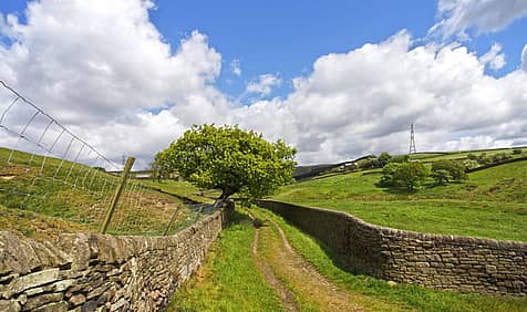 Yorkshire Day