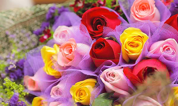 national-holidays-in-february-2023-days-of-the-year