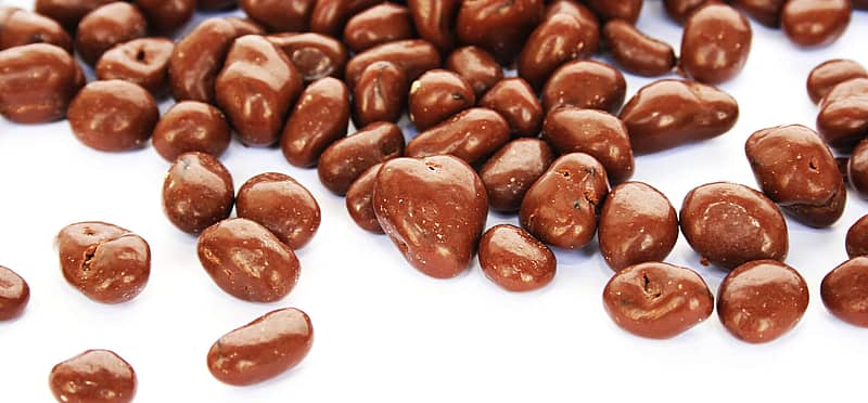 National Chocolate Covered Raisin Day (March 24th) Days Of The Year