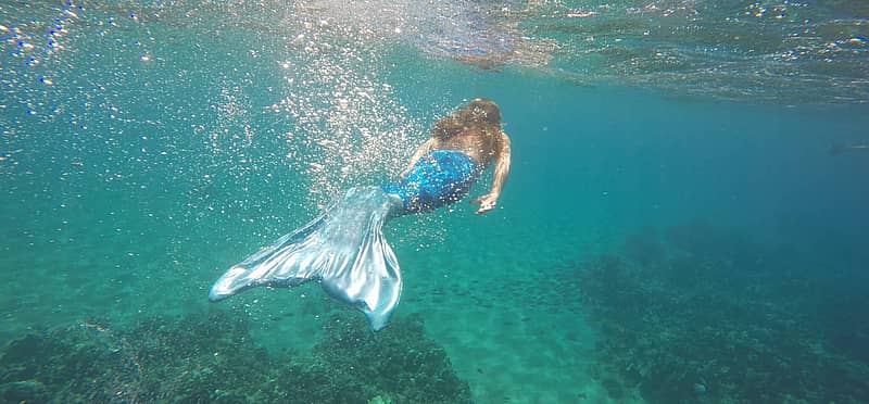 International Mermaid Day (March 29th) Days Of The Year
