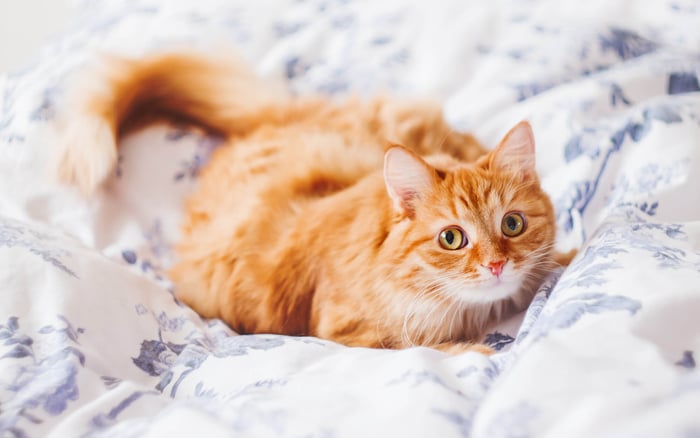 National Emma M. Nutt Day (September 1st) Days Of The Year