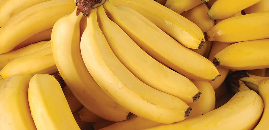 National Banana Lovers Day