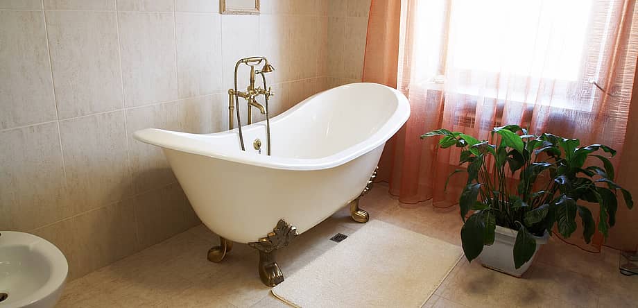 National Bathtub Day
