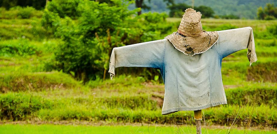 Build A Scarecrow Day
