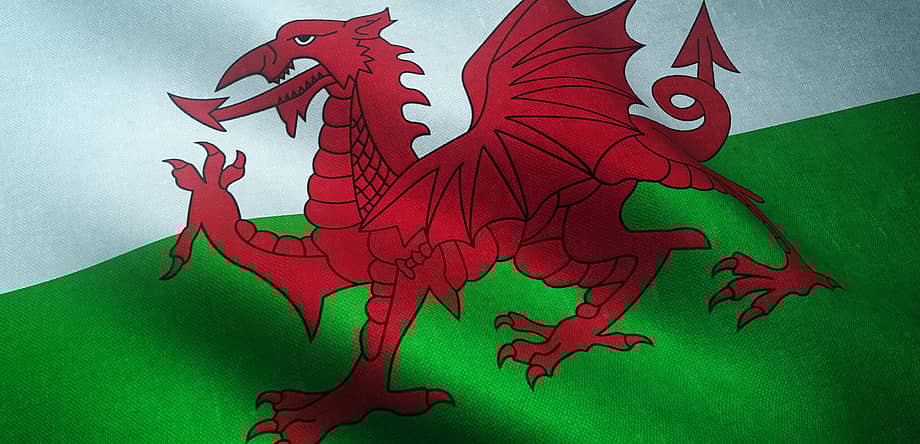 St. David’s Day