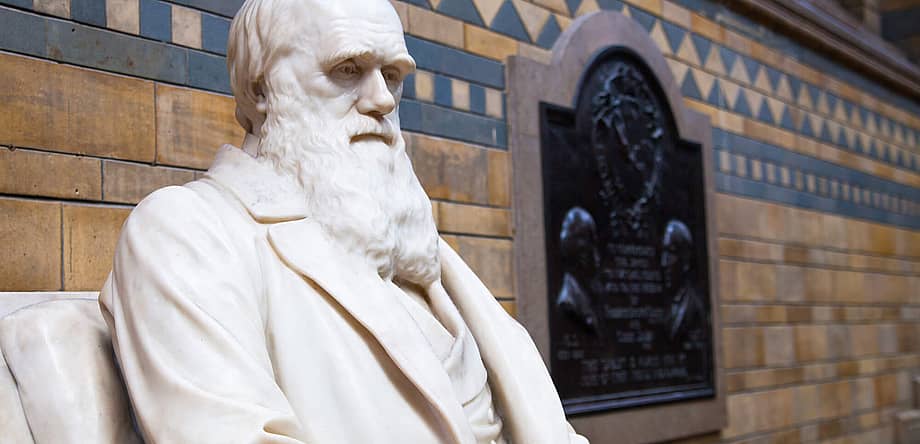 Darwin Day