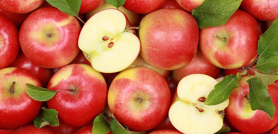 National Eat A Red Apple Day