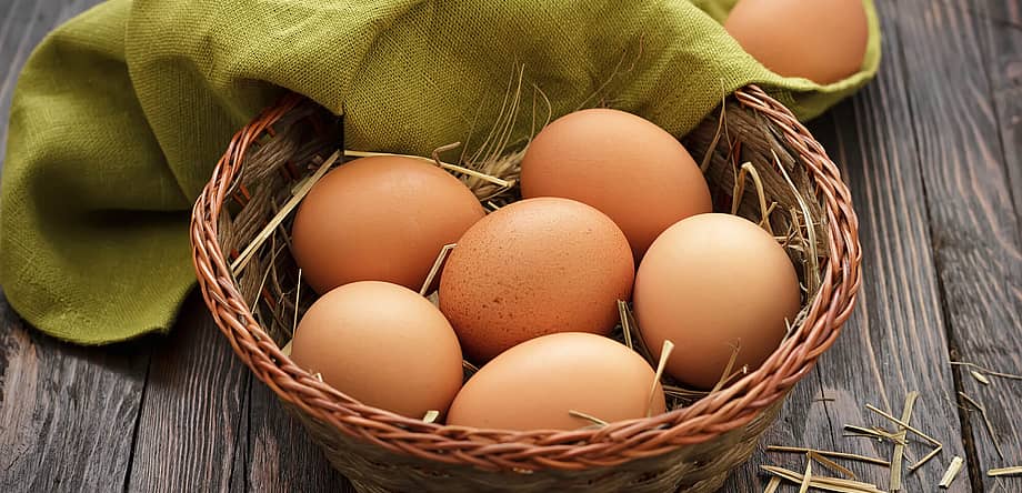 World Egg Day