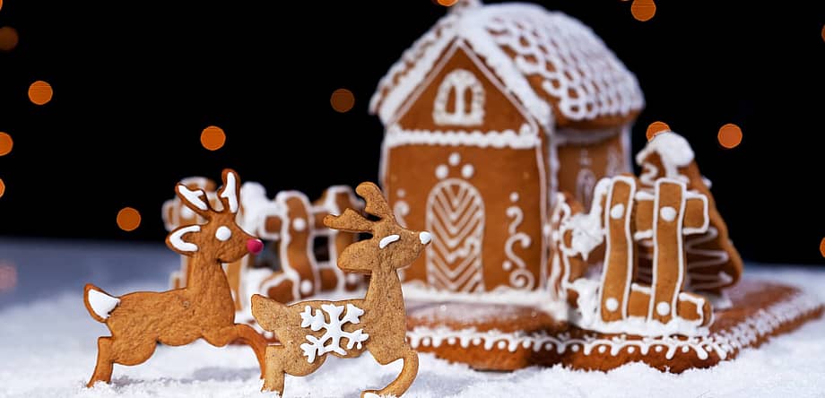 Gingerbread House Day