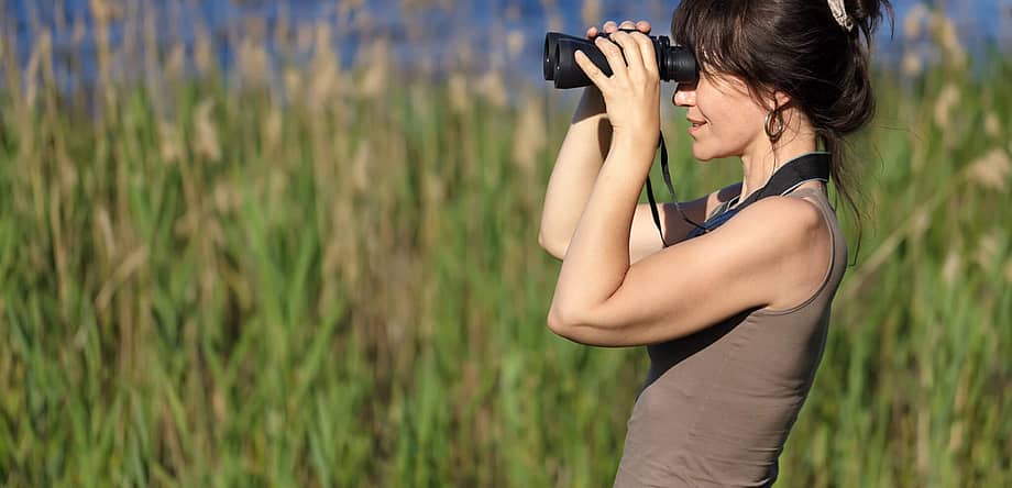 National Go Birding Day
