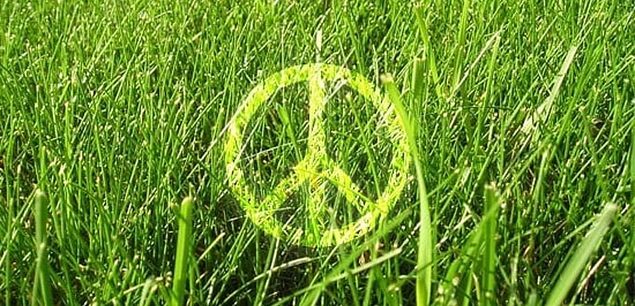 Greenpeace Day