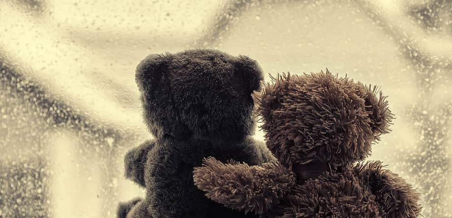 National Hug A Bear Day