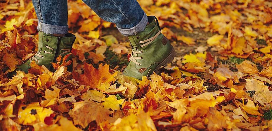 National Walking Day