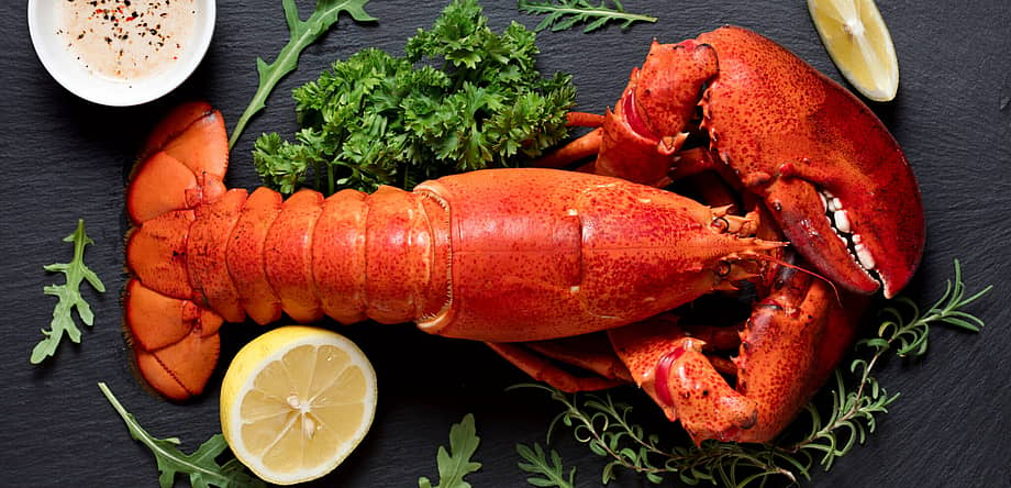 National Lobster Thermidor Day 