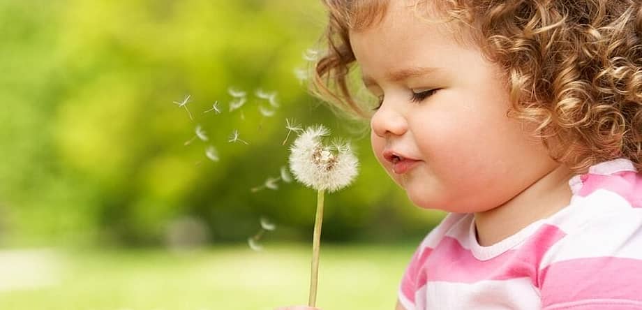 Make Your Dream Come True Day