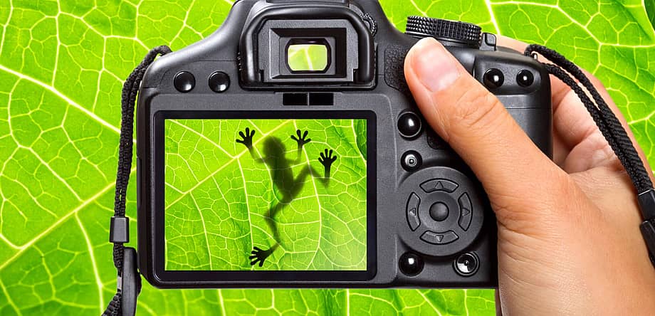 Nature Photography Day
